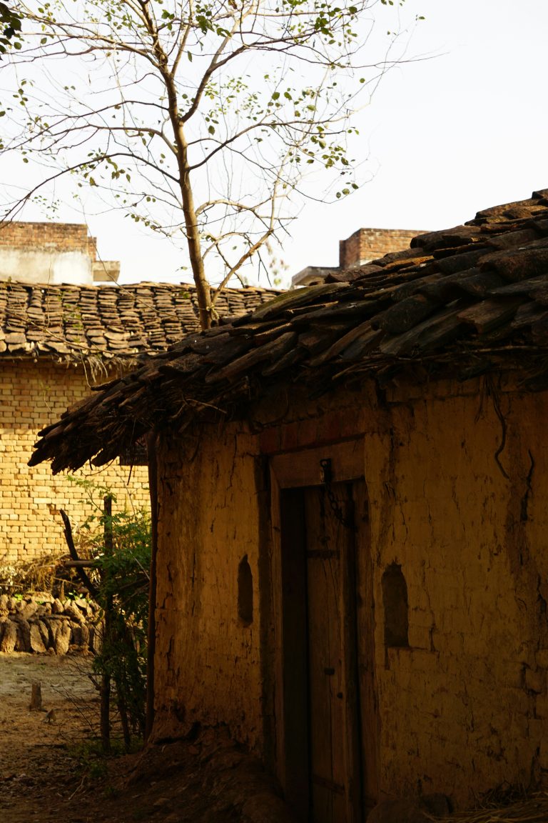 shruti-singh-PrcEjrzxzNQ-unsplash